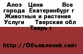 Алоэ › Цена ­ 150 - Все города, Екатеринбург г. Животные и растения » Услуги   . Тверская обл.,Тверь г.